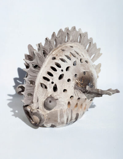 Photophore poisson Raku