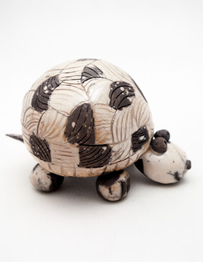 Tortue